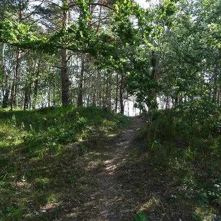 Freiraum Prora - Loft 5.1 *